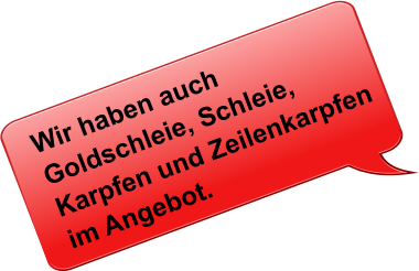 Wir haben auch Goldschleie, Schleie, Karpfen und Zeilenkarpfen im Angebot.