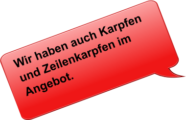 Wir haben auch Karpfen und Zeilenkarpfen im Angebot.